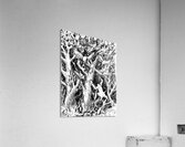 PSX 20250429 225538 Acrylic Print