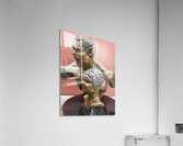 20241021 172033 Acrylic Print