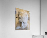 20230817 165107 Acrylic Print