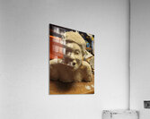 20220724 030726 Acrylic Print