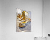 20231031 121613 Acrylic Print