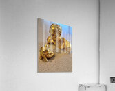 20231031 121540 Acrylic Print