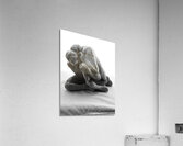 PSX 20241207 113142 Acrylic Print