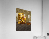 20240203 221318 Acrylic Print