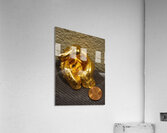 20240203 221442 Acrylic Print