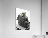 PSX 20250706 204433 Acrylic Print