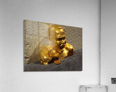 20240203 221850 Acrylic Print