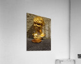 20240203 221532 Acrylic Print