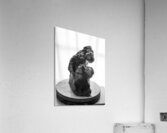 PSX 20250619 182237 Acrylic Print