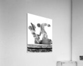 PSX 20250622 090031 Acrylic Print