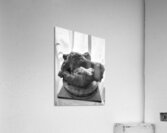 PSX 20250621 083116 Acrylic Print