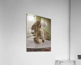 20231015 053139 Acrylic Print