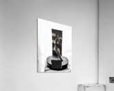 PSX 20250802 181937 Acrylic Print