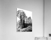 Beloved Companion 1 --- PSX 20250808 175342 Acrylic Print