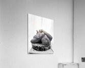 PSX 20250816 122209 Acrylic Print