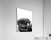 Beloved Companion 2 - 2 Acrylic Print