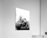 Beloved Companion 2 - 4 Acrylic Print