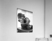 Alouette - 1 Acrylic Print