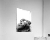 Beloved Companion 2 - 3 Acrylic Print