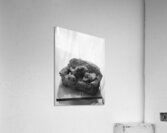 Quiet Mood --- 20251029 074946 2 Acrylic Print