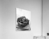 Quiet Mood --- 20251029 074930 2 Acrylic Print