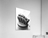 Selva Oscura --- 20251101 225127 2 Acrylic Print