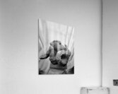 Day of Atonement --- 20251104 074540 Acrylic Print