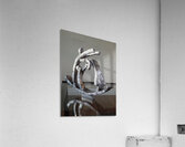 20260429 063446 Acrylic Print
