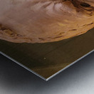 20220429 003823 Metal print