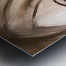 20220614 112840 3 Metal print