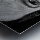 20220523 164339 3 Metal print