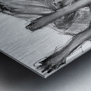 20220524 135838 5 Metal print