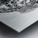 20220611 010552 5 Metal print