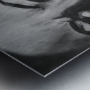 202306 3 Metal print