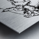 20656C 1 Metal print