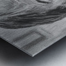 MELIS  1 Metal print