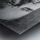 204513 1 Metal print