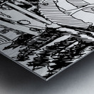 20230202 204805 EDIT   Copy Metal print