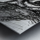 20230805 001728 2   Copy Metal print