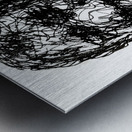 20230805 001743 2   Copy Metal print