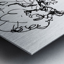 PSX 20240722 175522 Metal print