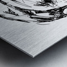 PSX 20240722 174643   Copy Metal print