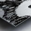 20230702 154922 3   Copy Metal print