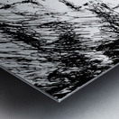 20230716 231807 2   Copy Metal print