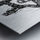 20230628 221219 EDIT   Copy Metal print