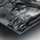 PSX 20240722 171758   Copy Metal print