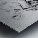 20230923 123426   Copy Metal print