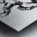 20230702 154729 3   Copy Metal print