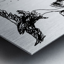 PSX 20240722 174947 Metal print