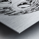 20230702 233712 4   Copy Metal print